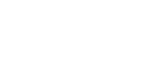 The King Team