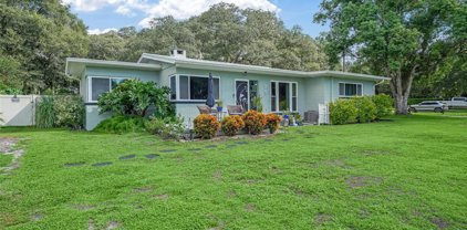 1415 Raintree Lane, Mount Dora