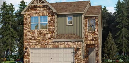 620 Citriadora  Street, Fort Mill