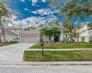 8146 Brinegar Circle, Tampa image
