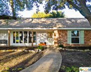 713 Willowcreek Drive, Woodway image