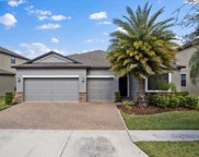 10024 Celtic Ash Drive, Ruskin image