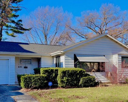 641 N Wright Street, Naperville