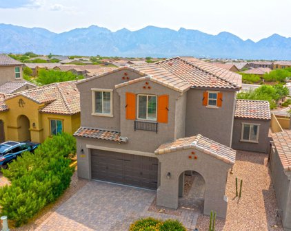 13366 N Cottontop, Oro Valley