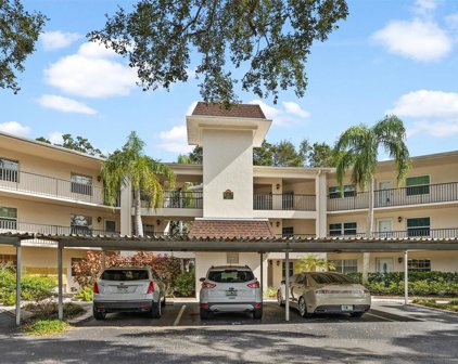 820 Virginia Street Unit 311, Dunedin