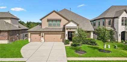 25507 Fleming Lodge Lane, Katy