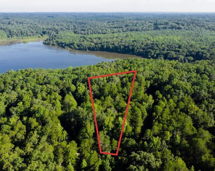 Lot 15 Lake Forest Dr, Abbeville