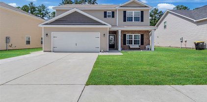 347 Coconut Drive, Bloomingdale