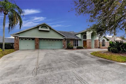 5619 Glencrest Boulevard, Tampa