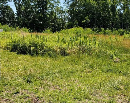 1219 Orchard  Road, Webster-265489