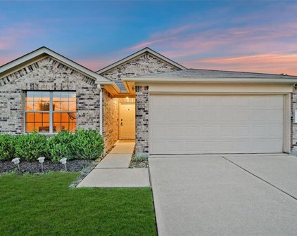 24427 Pigeon Berry Drive, Spring