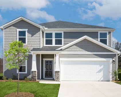 132 Lavinia, Lyman