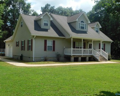 340 Medlock Road, Albertville