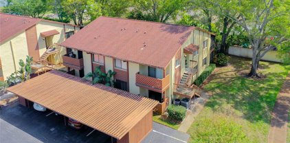 514 Tabor Court Unit B, Safety Harbor