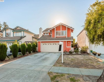 525 Wool Dr, Milpitas