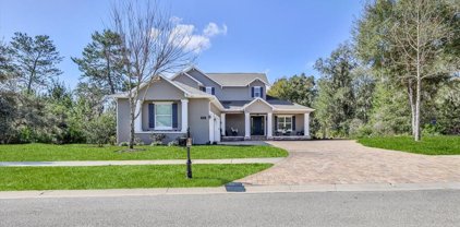 6087 Evening Ray Drive, Brooksville