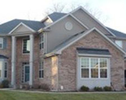 412 Blue Heron Circle, Bartlett