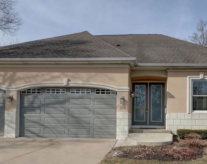 238 N Crest Avenue, Bartlett