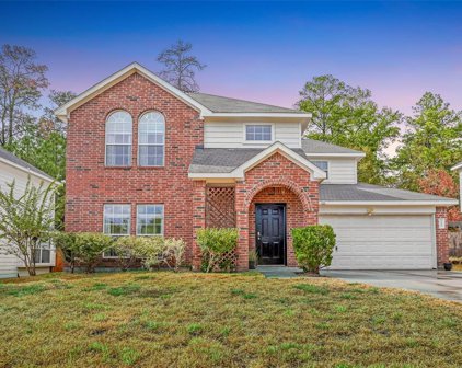 5457 N Buffalo Circle, Willis