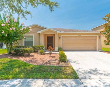 31028 Temple Stand Avenue, Wesley Chapel