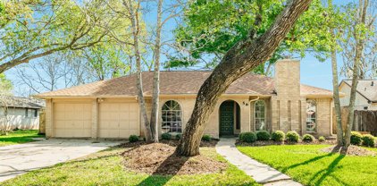 56 Southern Oaks Court, Lake Jackson