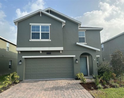 2226 Mountain Pine Street, Ocoee