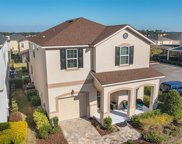1841 Sawyer Palm Place, Kissimmee image