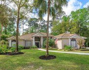 683 Treeline Place, Sanford image