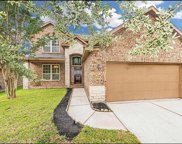 210 Black Swan Place, The Woodlands image