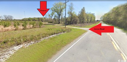 TBD Manning Highway, Greeleyville