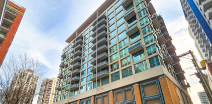 125 E 13Th Street Unit #509, Chicago