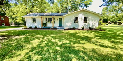 100 Homestead Ct, Hendersonville