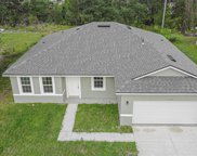 347 Alegriano Court, Kissimmee image