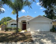 2601 Brookville Drive, Valrico image