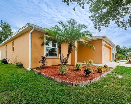 36035 Laguna Hills Circle, Zephyrhills