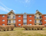 6600 Martin France Circle Unit #3D, Tinley Park image