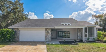 10032 Huckleberry Drive, Spring Hill