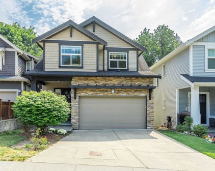13570 Nelson Peak Drive, Maple Ridge