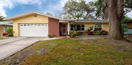 1448 Southridge Drive, Clearwater
