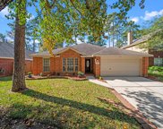154 W Russet Grove Circle, The Woodlands image