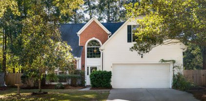 3207 Rose Walk Court, Mount Pleasant