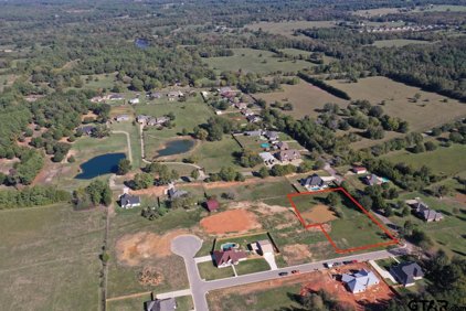 15508 Sugar Ridge Lane, Flint
