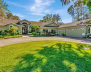 11279 Knights Griffin Road, Thonotosassa image