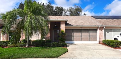 7405 Nature Walk Drive, Spring Hill