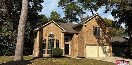 21496 Palace Pines Drive, Kingwood