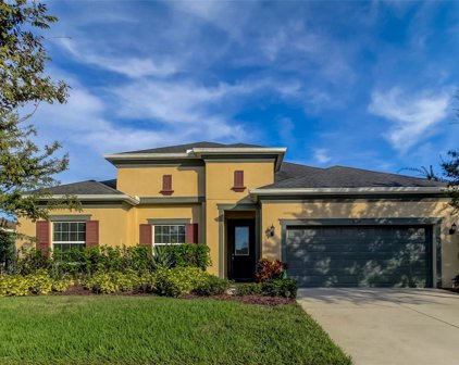 8308 Sky Eagle Drive, Tampa