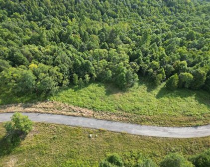 LOT # 22 River Ridge Ln, Mt. Nebo