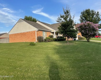 1752 W Sarah Ann Drive W Drive, Southaven