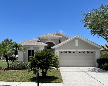 2844 Banyan Hill Lane, Land O' Lakes