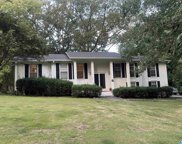 3497 Birchtree Drive, Hoover image